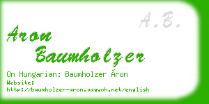 aron baumholzer business card